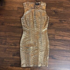 Torn by Ronny Kobo Gold Dress